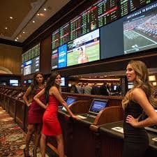 cc77 Philippines sports and casino gaming platform overview